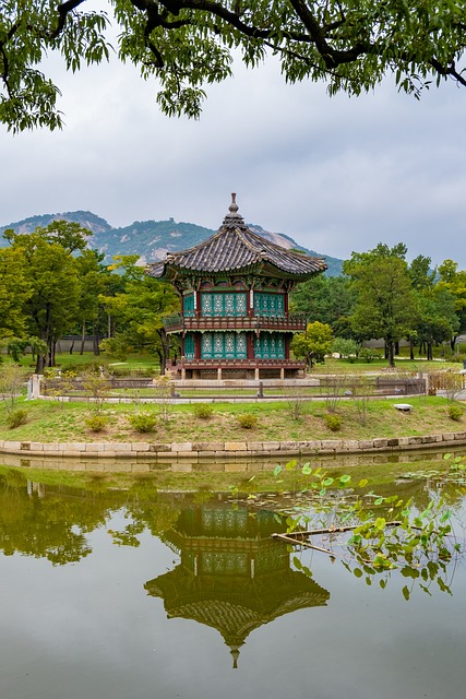 조선 청년 운동의 역사와 의미 알아보기