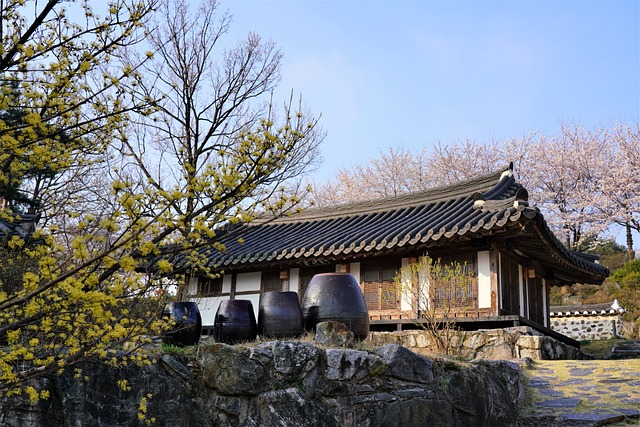 한인 애국단 조직과 활동 알아보기 꼭 알아야 할 역사 이야기