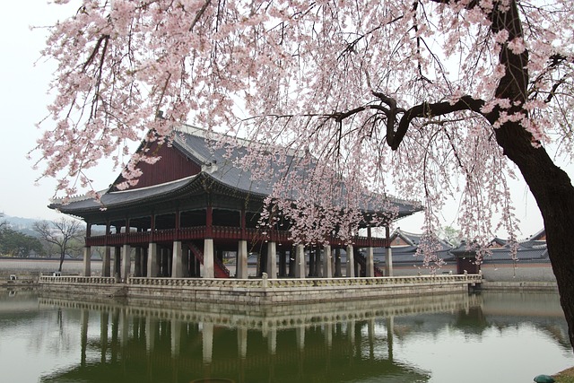 조선 후기 세도 정치란 무엇인지 알아보기